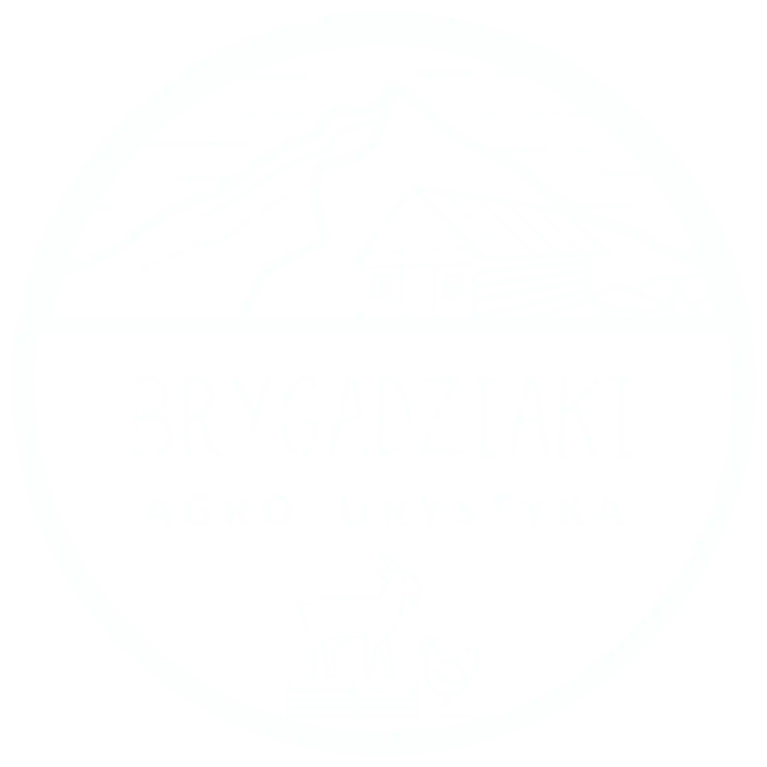 Brygadziaki